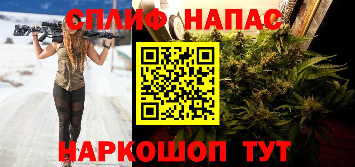 Бошки Шишки планчик Ахтубинск